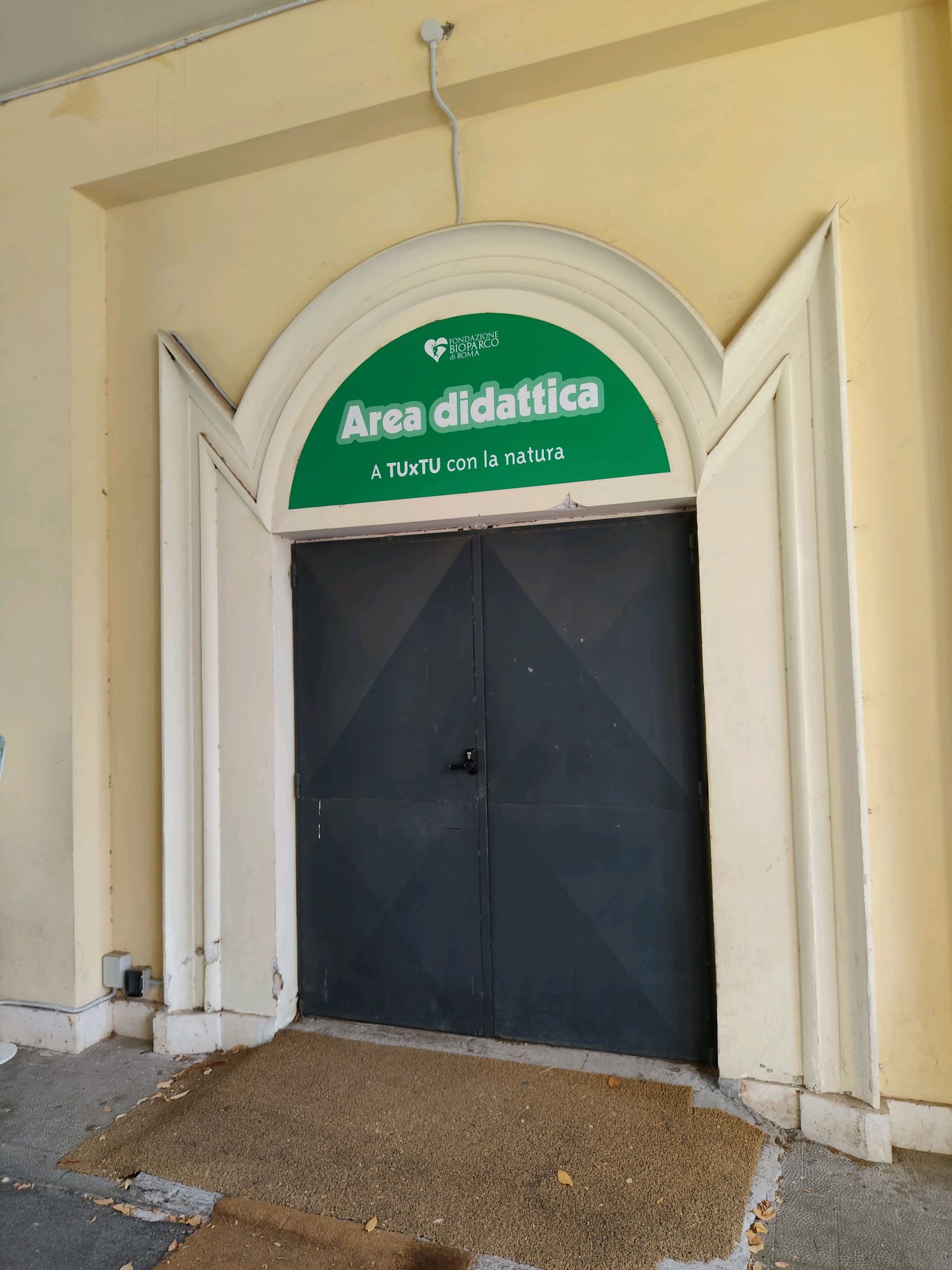 Educational workshops in the Bioparco underpass