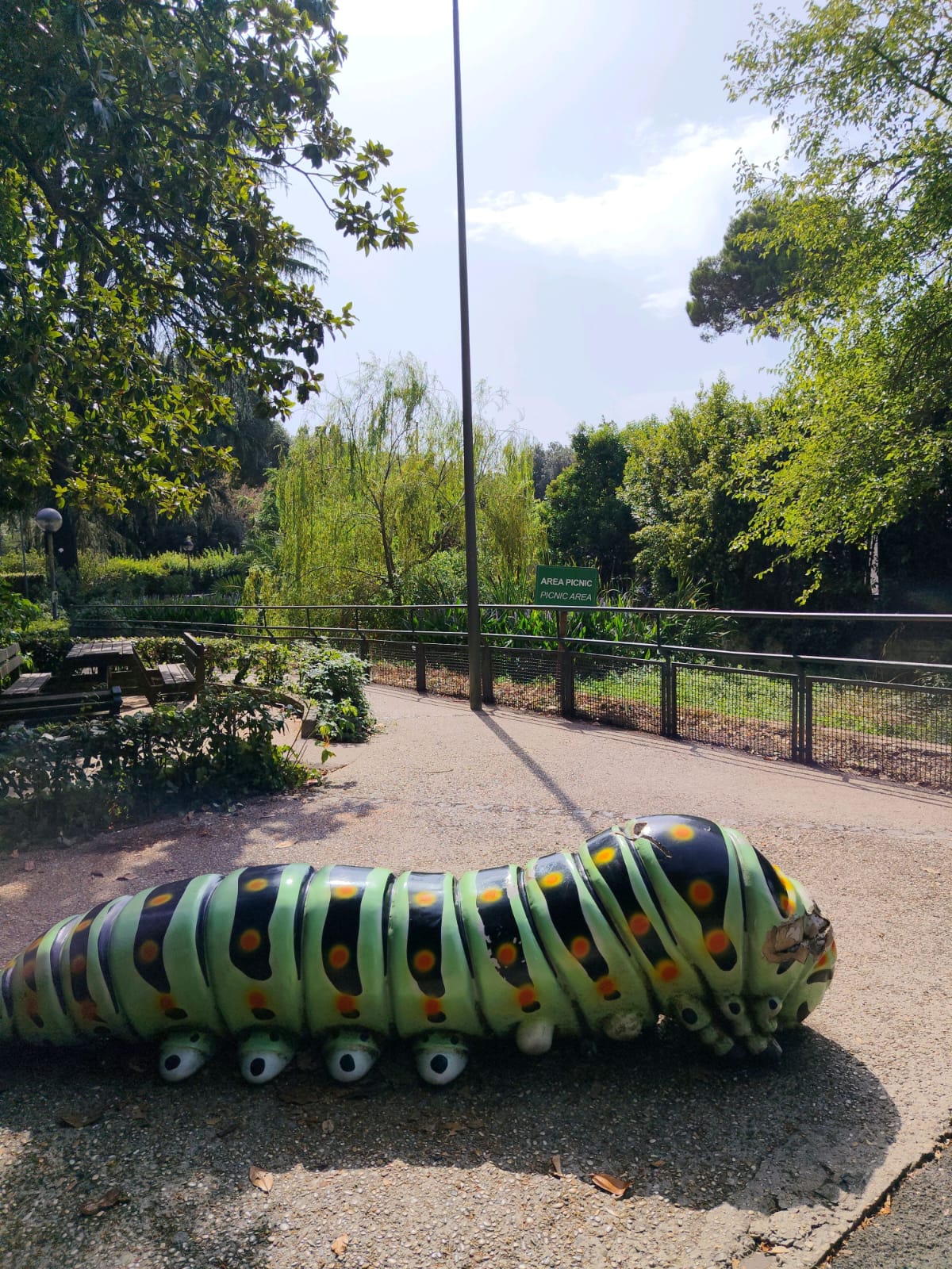 Area picnic del Bioparco