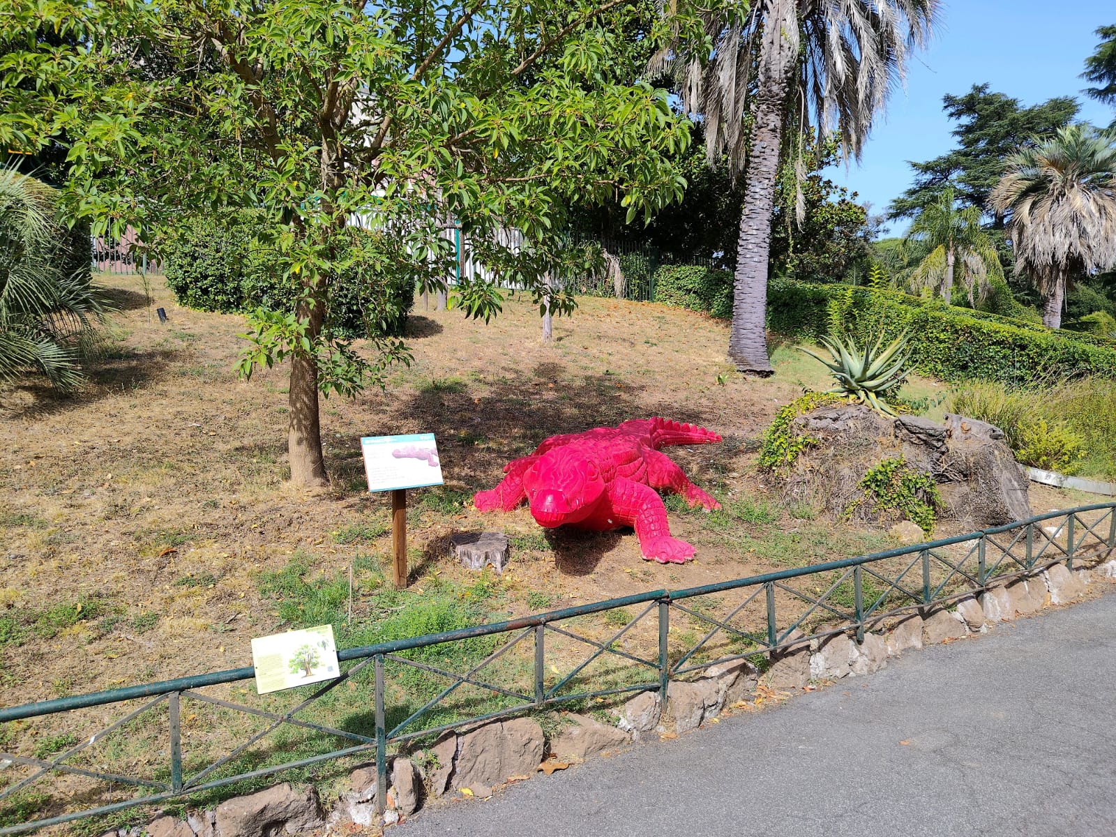 Red Crocodile educational area