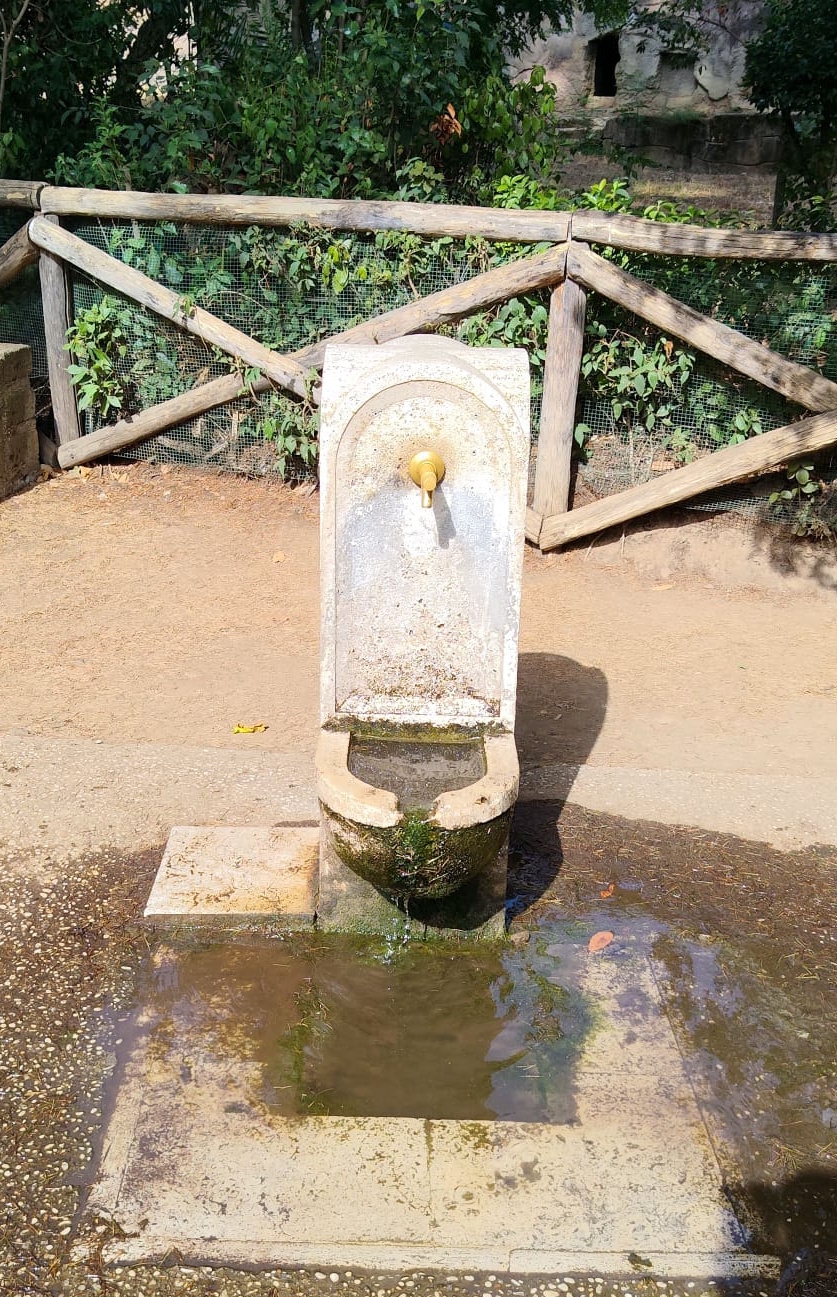 Drinking fountain near Bear Valley